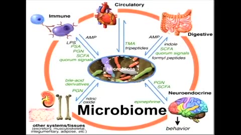 GMOs glyphosate food supply, IBD, IBS