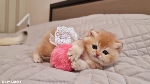 Kitty Pinky is gearing up to be the Beauty Winner of 2022(part 93)