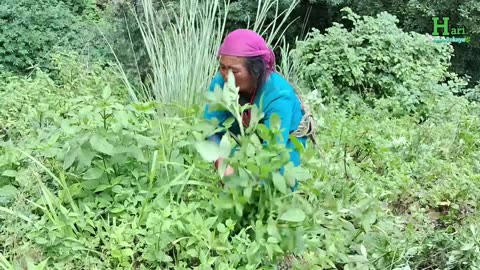 Morning Rituals and Ancient Traditions in a Desert Village of nepal