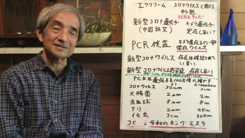 【35】コロナ騒動の原点は、PCR検査 ゴジラvsモスラの世界 - 大橋眞