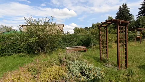 Sonnenschein im KGV Leinestraße am 17.07.