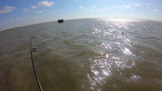 redfish on a windy day