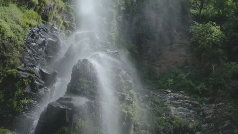 Nature video⁣ Waterfall with little stones in a temperate forest.Waterfall in forest