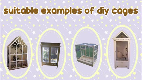 Which Cages are Best for Small/ Medium birds