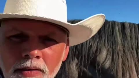 Rancher Explains the Democratic Party with his horses.