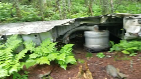 Plane Wreck, Camel's Hump (2021 JUL 03)