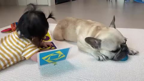 12 Months Of Friendship In 12 Minutes | Dog Loves Baby.