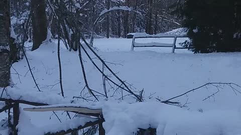 ALTOPASCIO – LU- Italie under the Snow .