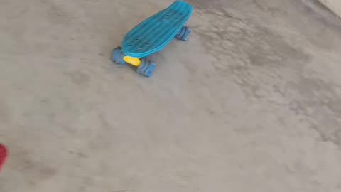 A Cat Enjoys Skateboarding and Dribbling Pins - Part 3