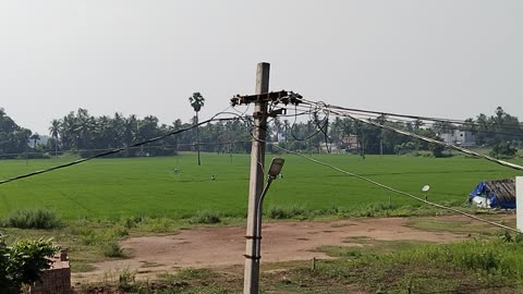 Drone in agri use