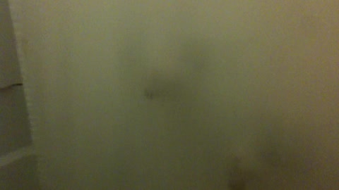 Strange Cats Lick Shower Curtain While The Shower Runs