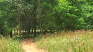 Adventure Road Prairie Loop Hiking & Biking Trail