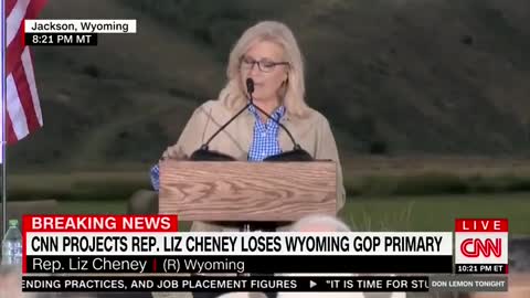 ARROGANT Rep Liz Cheney Likens Herself To General Grant