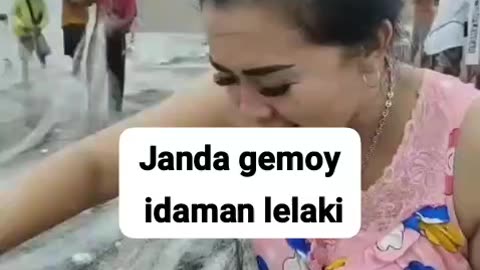 Janda gemoy