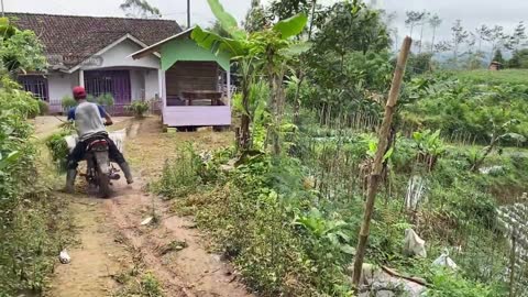 Suasana alam pedesaan bikin betah untuk kembali