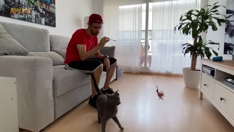 ROBOT MALVADO ATACA A MI PERRO Y MI GATO 😱!!