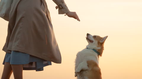 Dog Training Woman Using Food