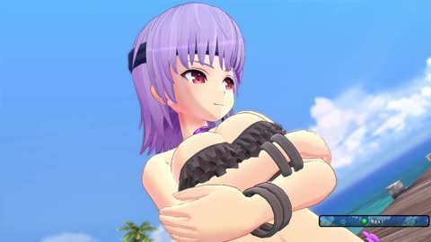 Senran Kagura Estival Versus