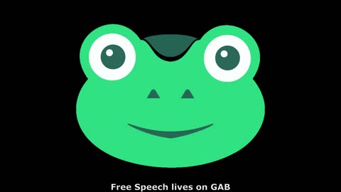 CEO Andrew Torba discusses GAB's Terms of Service on Timcast IRL