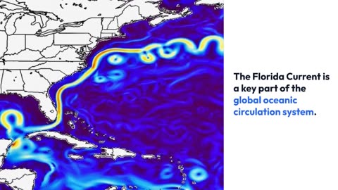 How the Florida Current Has Defied Changes for 40 Years