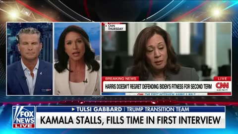 Tulsi Gabbard_ This interview was ‘massively hyped up’