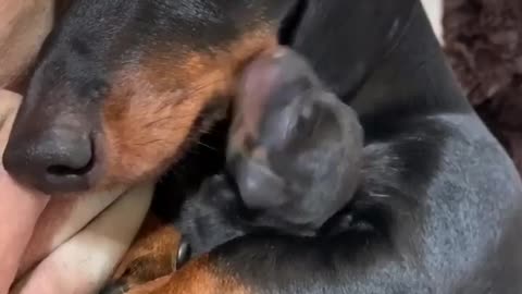 Mom hugged with her cute puppy!!!!