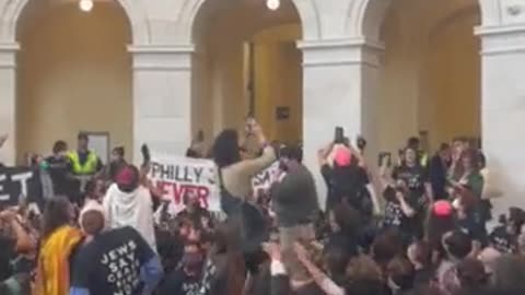 A group of pro Palestinian insurrectionists stormed the Capitol