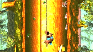 Donkey Kong Country 3: Dixie Kong's Double Trouble! Pt.6