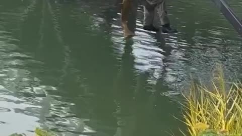 Fish Caught Him