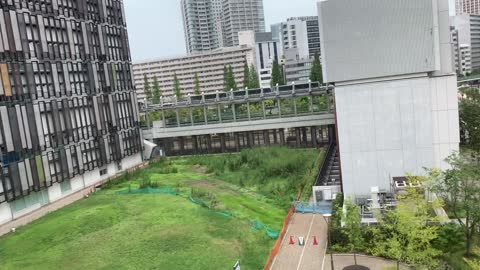 Odaiba train running through the sky - Japan travel