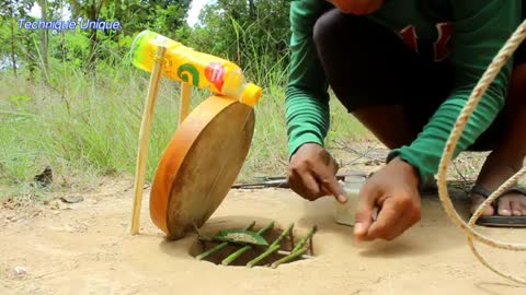 Traditional bird trap