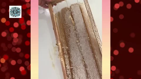 MOST AMAZING HONEYCOMB UNCAPPING/Oddly Satisfying ASMR