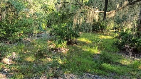 first archery sit, florida zone c opening morning 2024