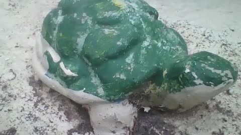 Small green stone-shaped turtle, is a beautiful work of art! [Nature & Animals]