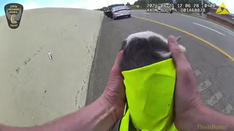 Ohio Highway Patrol trooper rescues injured kitten along I-77 in Stark County