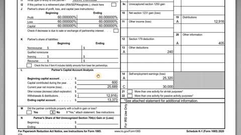 Schedule K-1 of the Form 1065 - What are the Basic Fields