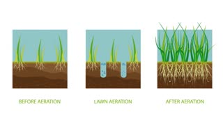 Lawn Aeration Smithsburg MD Lawn Care Service