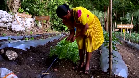 Farming program aims to help Guatemalans mitigate hunger