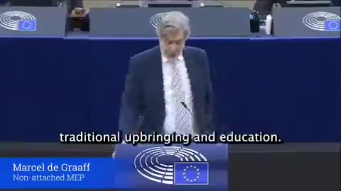 European MEP Drops Truth Bombs about Ukraine.