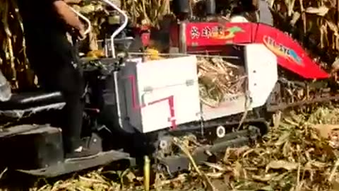 Agricultural Technician Corn Harvester #