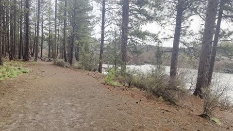 Exploring in the Rain – Deschutes River Trail – Central Oregon – 4K