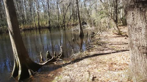 Swamp Kayaking