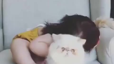 Cute pets