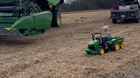 Little Farmer Helps Haul Beans In Tiny Tractor