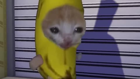 Banana Cat Chase Herobrine