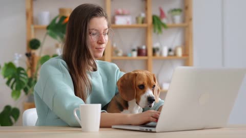 Spending time with lovely pet. Spbi Blonde long haired lady in glasses with adorable Beagle dog