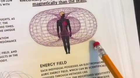 The Human Body as an Electromagnetic Battery: Fasting, Energy, and Electric Nutrition