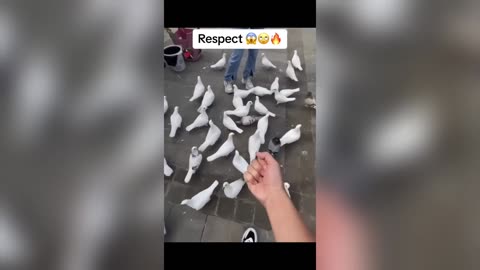 Respect video 💯😱🔥 _ like a boss compilation 🤯😍 _ amazing people 😲😎 (1080p)