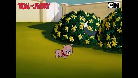 Tom & Jerry’s Fun Fest!