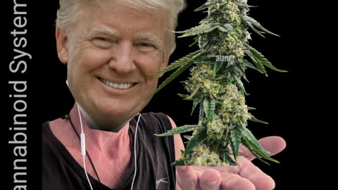 Trump endorses medicinal cannabis